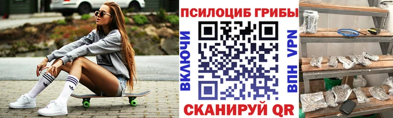 наркошоп  Солигалич  Галлюциногенные грибы Psilocybe 